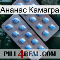 Ананас Камагра viagra4